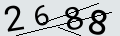 verifycode